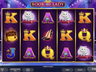 Игровой аппарат Book Of Lady студии Endorphina